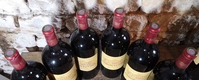 6 magnums Château LE CROCK - Saint Estèphe...