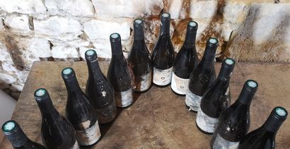12 bottles CHASSAGNE MONTRACHET 1er Cru 