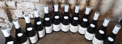 12 bottles PERNAND VERGELESSES 1er Cru 