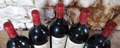 5 magnums Château LA LAGUNE - 3ème Gcc Haut...