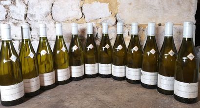 12 bouteilles CHASSAGE MONTRACHET - J.M....