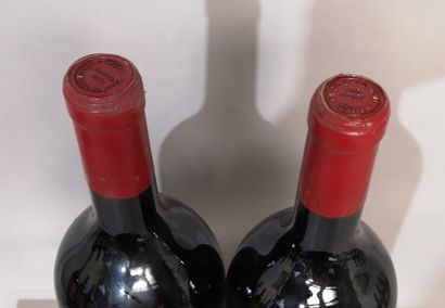 2 magnums Château HAUT BAILLY - Pessac Léognan...