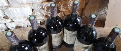 6 magnums Château PATACHE D'AUX - Médoc 2000...