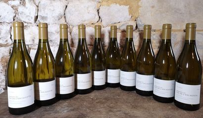 10 bottles Domaine du PAS de L'ESCALETTE...