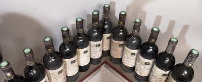 12 bottles Château PATACHE D'AUX - Médoc...