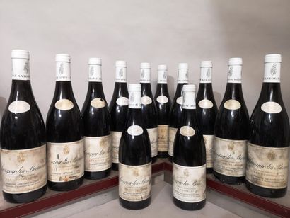 12 bottle SAVIGNY LES BEAUNE 