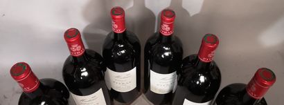 6 magnums Château de PITRAY 