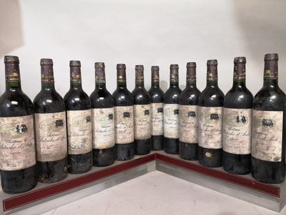 12 bottles Château PATACHE D'AUX - Médoc...