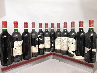 12 bottles Château CHASSE SPLEEN - Moulis...