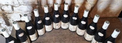 12 bottles PERNAND VERGELESSES 1er Cru 