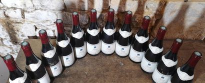 12 bottles FIXIN 