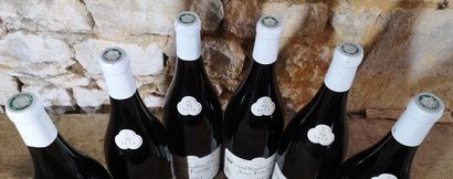 6 magnums PERNAND VERGELESSES 1er cru 