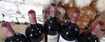 5 magnums Château PONTET CANET - 5ème Gcc...