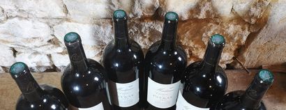 6 magnums Château de PITRAY 