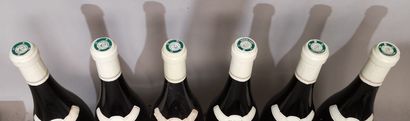 6 bouteilles MEURSAULT 