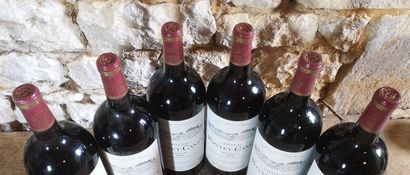 6 magnums Château PONTET CANET - 5th Gcc...