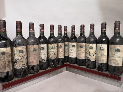 12 bottles Château PATACHE D'AUX - Médoc...