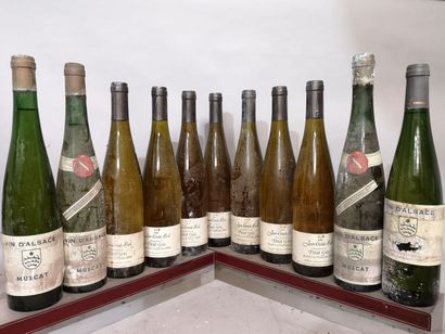 11 bottles ALSACE DIVERS FOR SALE AS IS 7...