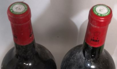 2 Magnums MOULIN RICHE - 2nd wine of Ch....
