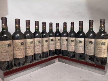 12 bottles Château PATACHE D'AUX - Médoc...
