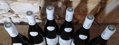 6 bottles PERNAND VERGELESSES 1er Cru 