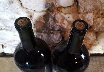 2 Double magnums Château GAZIN ROCQUENCOURT...