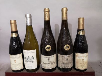 5 bottles VINS DIVERS LOIRE et DIVERS FOR...