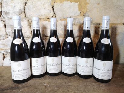 6 bottles SAVIGNY LES BEAUNE 