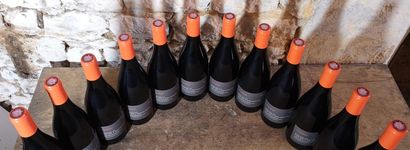 12 bottles Domaine du PAS de L'ESCALETTE...