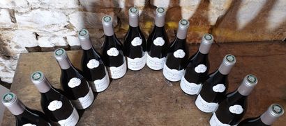 12 bouteilles PERNAND VERGELESSES 1er cru...