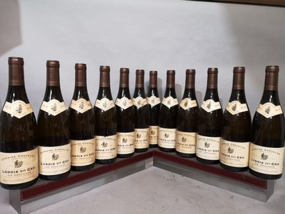 12 bouteilles LADOIX Blanc 1er Cru 