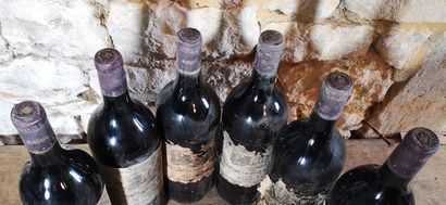 5 magnums Château LA TOUR de MONS - Margaux...