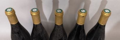 5 bottles SAINT JOSEPH 