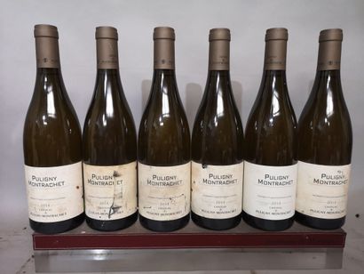 6 bouteilles PULIGNY MONTRACHET - CHÂTEAU...