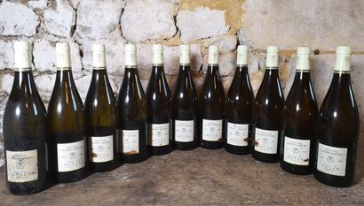 11 bouteilles RULLY 1er cru 