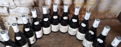 12 bottles PERNAND VERGELESSES 1er Cru 