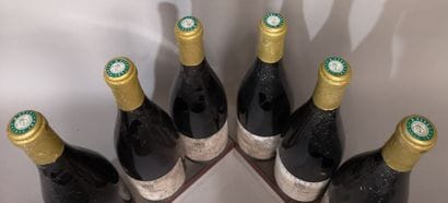 6 bottles SAINT JOSEPH 