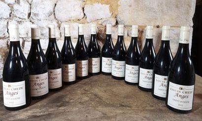 12 bottles SAINT JOSEPH 