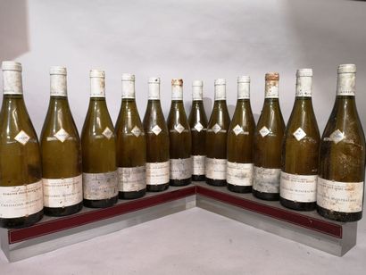 12 bottles CHASSAGNE MONTRACHET Blanc - J.M....