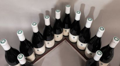 12 bouteilles COTEAUX BOURGUIGNONS - P. GELIN...