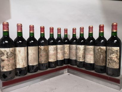 12 bottles Château CALON SEGUR - 3ème Gcc...