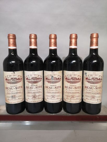 5 bottles Château BEAU SITE - Saint Estèphe...
