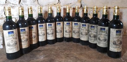 12 bottles Château SIRAN - Margaux 2005 In...