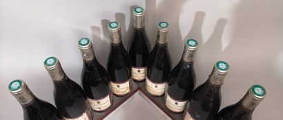 9 bottles SAINT JOSEPH 