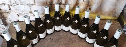 12 bouteilles CHASSAGE MONTRACHET - J.M....
