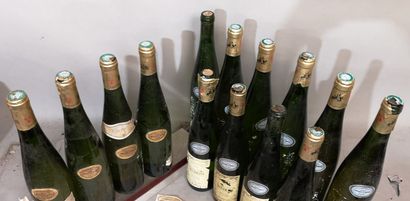 14 bottles ALSACE RIESLING SONNENBERG 10...