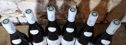 6 bottles SAVIGNY LES BEAUNE 