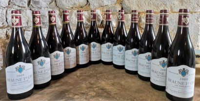 12 bottles BEAUNE 1er cru 