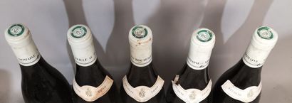 5 bottles CORTON Grand Cru 