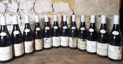 12 bottles PERNAND VERGELESSES 1er Cru 